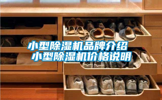 小型除濕機品牌介紹 小型除濕機價格說明