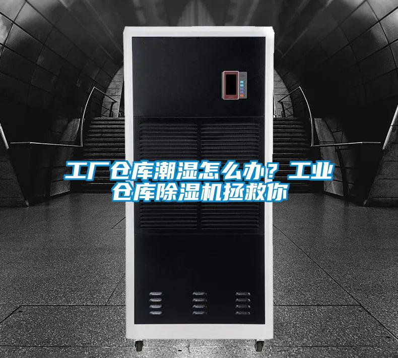 工廠倉庫潮濕怎么辦?工業(yè)倉庫除濕機拯救你