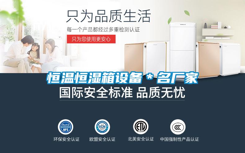 恒溫恒濕箱設備*名廠家