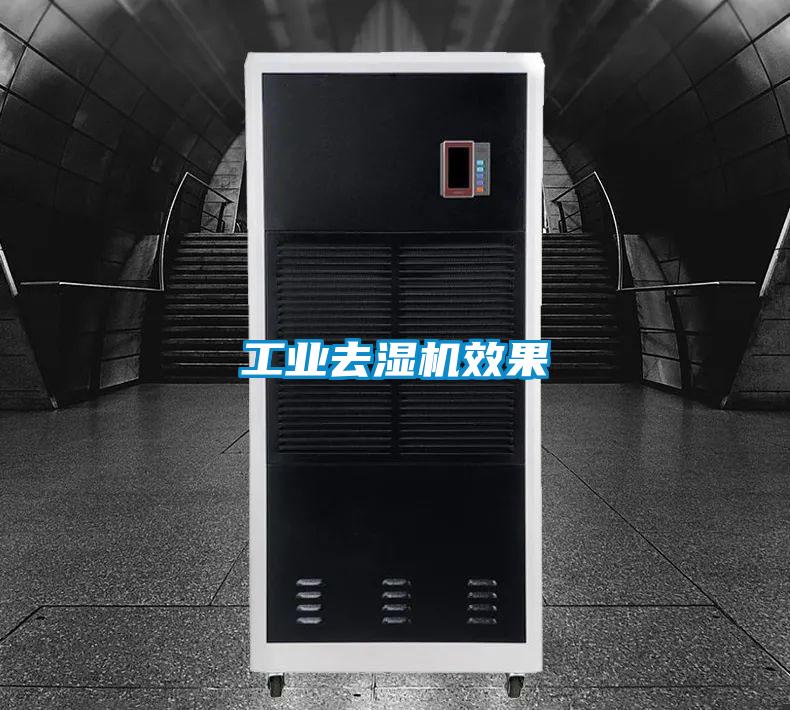 工業去濕機效果