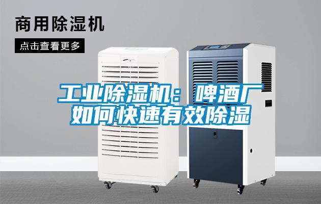 工業除濕機:啤酒廠如何快速有效除濕