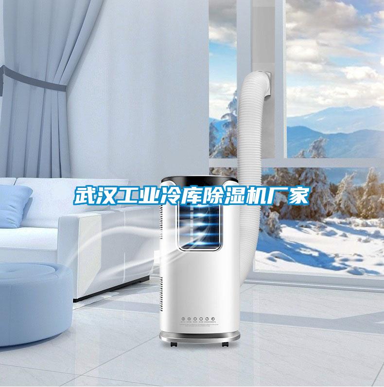 武漢工業冷庫除濕機廠家