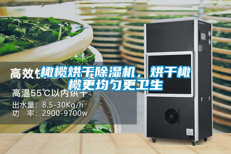 橄欖烘干除濕機,烘干橄欖更均勻更衛生