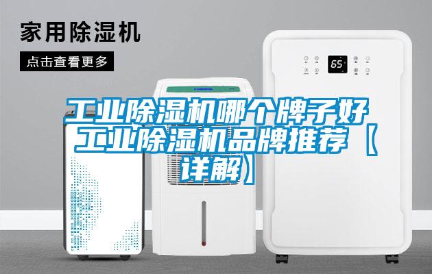 工業除濕機哪個牌子好 工業除濕機品牌推薦【詳解】
