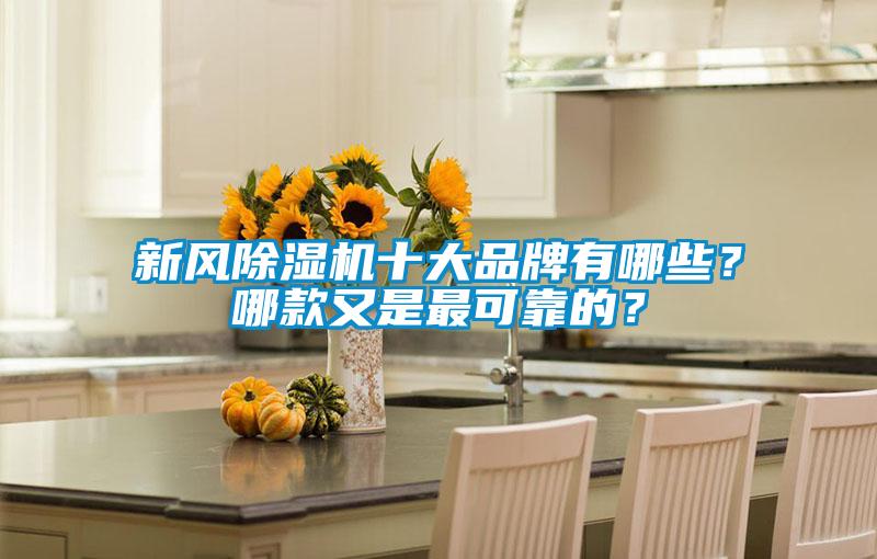 新風除濕機十大品牌有哪些?哪款又是最可靠的?