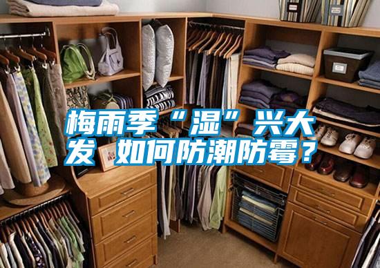 梅雨季“濕”興大發 如何防潮防霉？