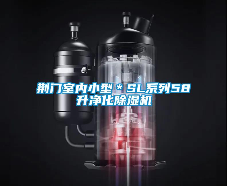 荊門室內小型＊SL系列58升凈化除濕機