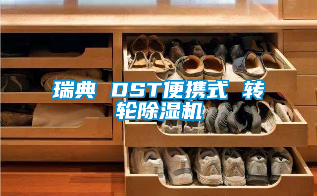 瑞典 DST便攜式 轉輪除濕機