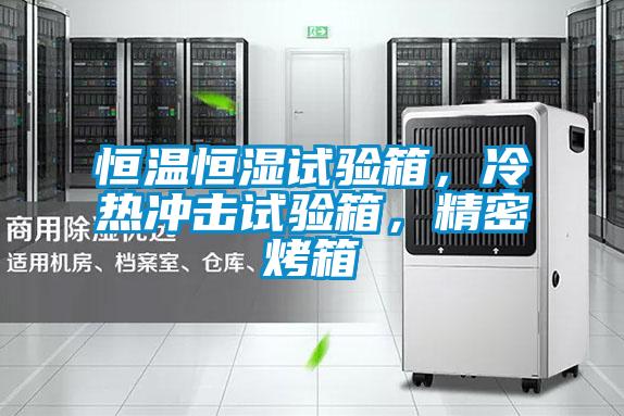 恒溫恒濕試驗箱,冷熱沖擊試驗箱,精密烤箱