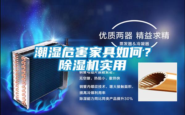 潮濕危害家具如何?除濕機實用