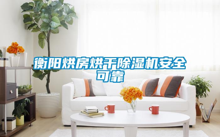 衡陽烘房烘干除濕機安全可靠
