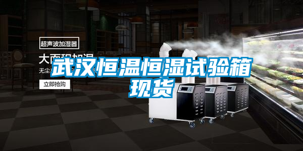 武漢恒溫恒濕試驗箱現貨