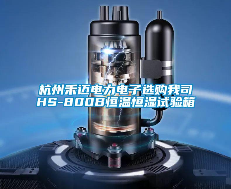 杭州禾邁電力電子選購我司HS-800B恒溫恒濕試驗箱