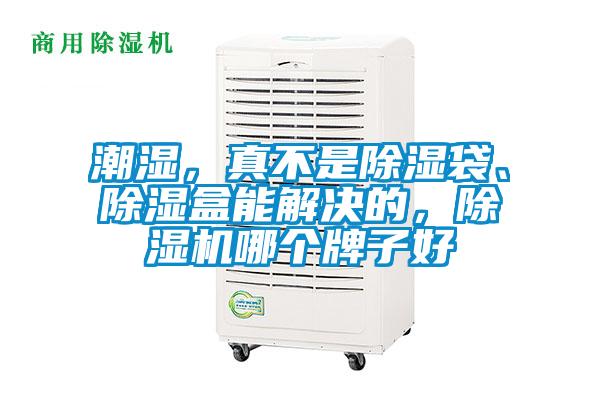 潮濕，真不是除濕袋、除濕盒能解決的，除濕機哪個牌子好