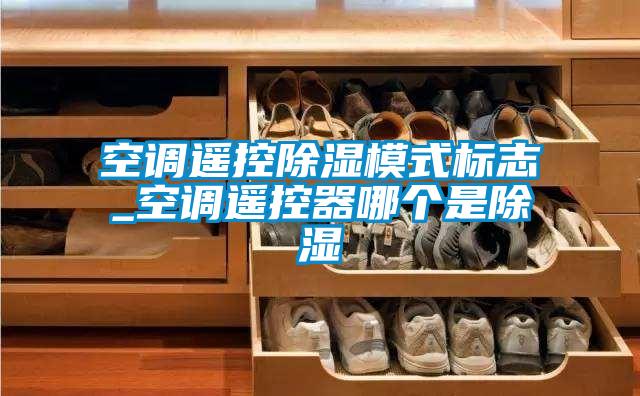 空調(diào)遙控除濕模式標(biāo)志_空調(diào)遙控器哪個是除濕