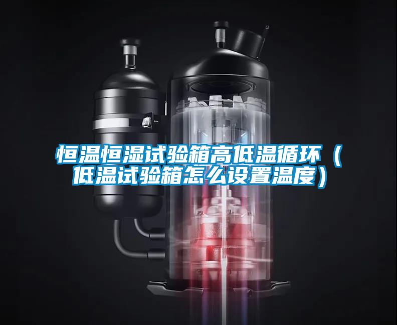 恒溫恒濕試驗箱高低溫循環(huán)（低溫試驗箱怎么設(shè)置溫度）
