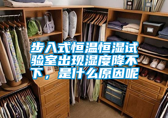 步入式恒溫恒濕試驗室出現(xiàn)濕度降不下，是什么原因呢