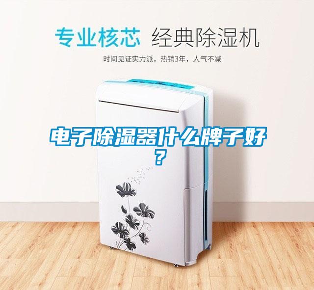電子除濕器什么牌子好?