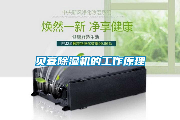 貝菱除濕機的工作原理
