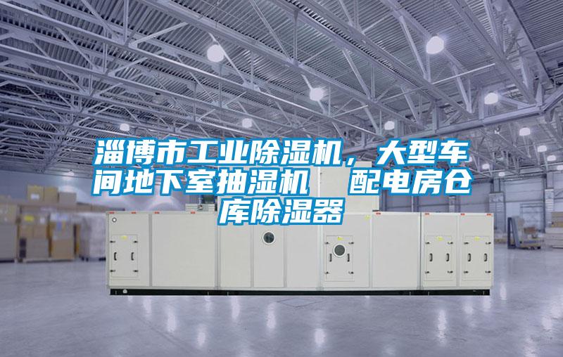 淄博市工業除濕機,大型車間地下室抽濕機 配電房倉庫除濕器