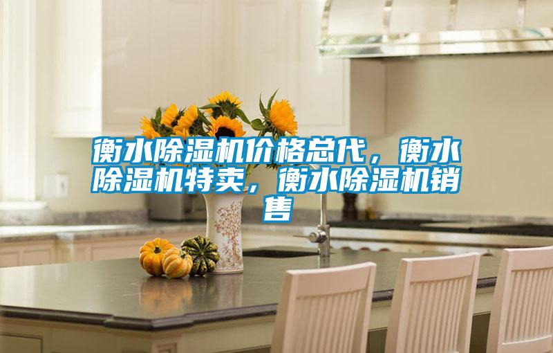 衡水除濕機(jī)價(jià)格總代,衡水除濕機(jī)特賣,衡水除濕機(jī)銷售