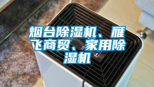煙臺除濕機、雁飛商貿、家用除濕機