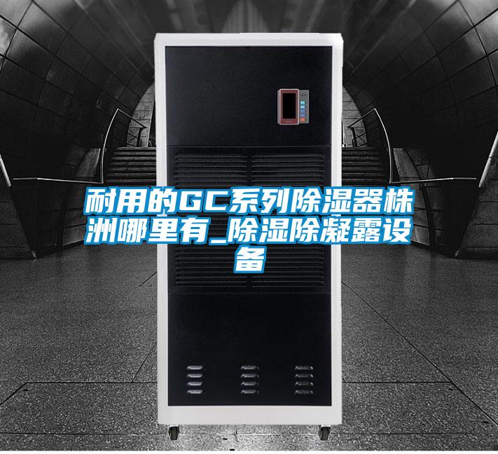 耐用的GC系列除濕器株洲哪里有_除濕除凝露設備