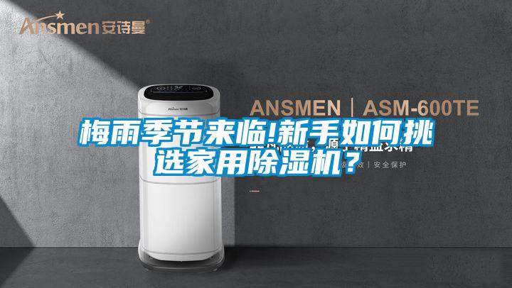 梅雨季節來臨!新手如何挑選家用除濕機？