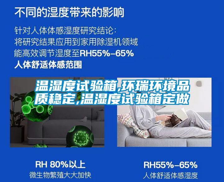 溫濕度試驗箱,環瑞環境品質穩定,溫濕度試驗箱定做