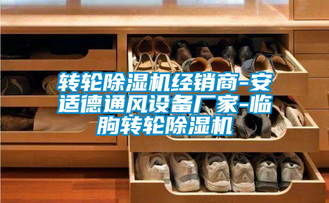 轉輪除濕機經銷商-安適德通風設備廠家-臨朐轉輪除濕機