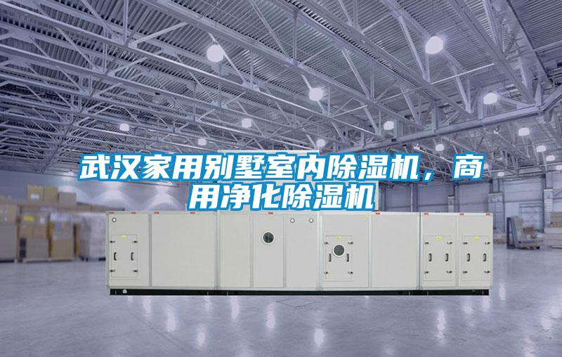 武漢家用別墅室內除濕機,商用凈化除濕機