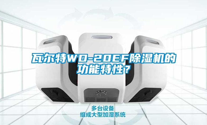 瓦爾特WD-20EF除濕機的功能特性？