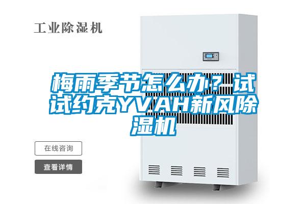 梅雨季節(jié)怎么辦?試試約克YVAH新風(fēng)除濕機(jī)