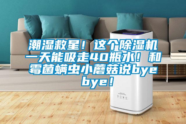 潮濕救星!這個除濕機一天能吸走40瓶水!和霉菌螨蟲小蘑菇說bye bye!