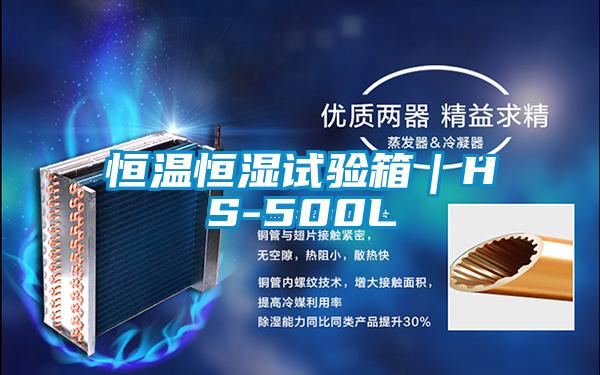 恒溫恒濕試驗箱|HS-500L