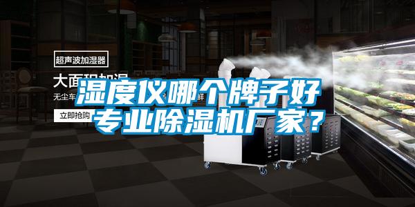 濕度儀哪個牌子好 專業(yè)除濕機(jī)廠家？