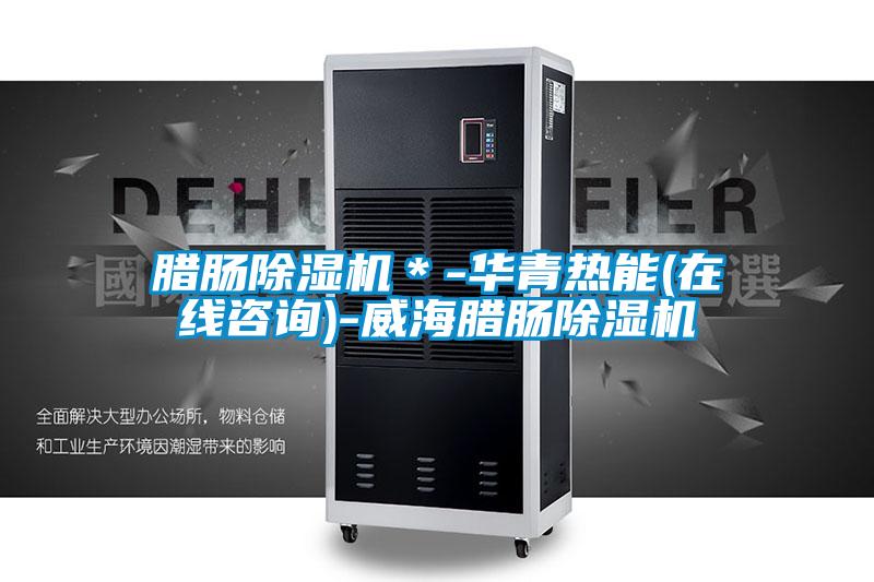 臘腸除濕機*-華青熱能(在線咨詢)-威海臘腸除濕機
