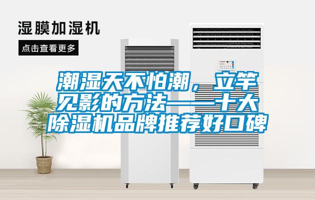 潮濕天不怕潮，立竿見影的方法——十大除濕機品牌推薦好口碑