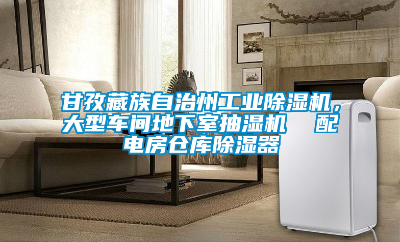 甘孜藏族自治州工業除濕機,大型車間地下室抽濕機 配電房倉庫除濕器