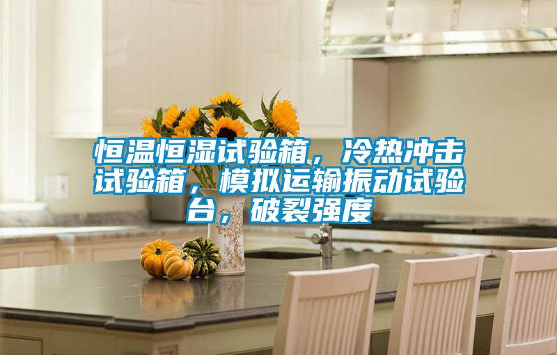 恒溫恒濕試驗箱，冷熱沖擊試驗箱，模擬運輸振動試驗臺，破裂強度