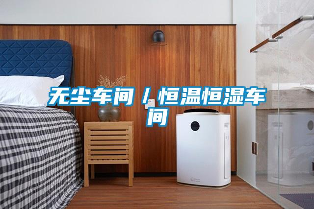 無塵車間/恒溫恒濕車間