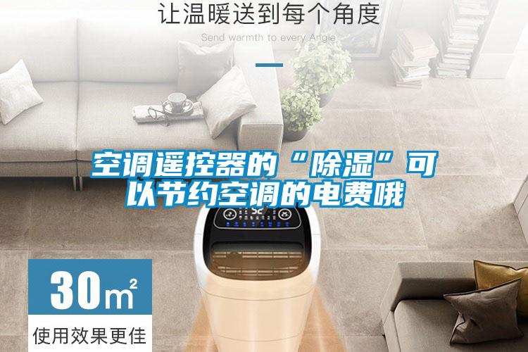 空調(diào)遙控器的“除濕”可以節(jié)約空調(diào)的電費(fèi)哦