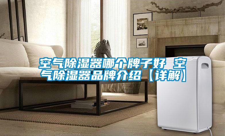 空氣除濕器哪個牌子好 空氣除濕器品牌介紹【詳解】