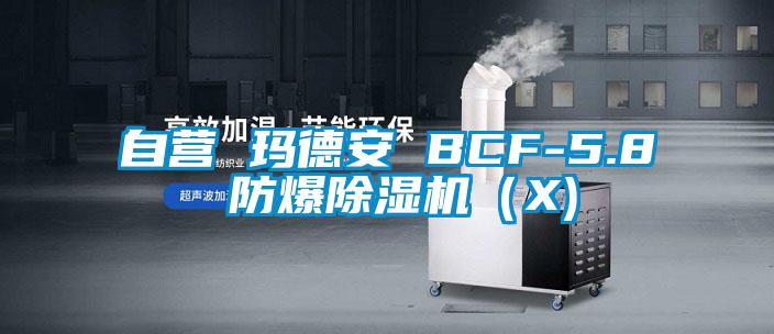 自營 瑪德安 BCF-5.8 防爆除濕機（X)