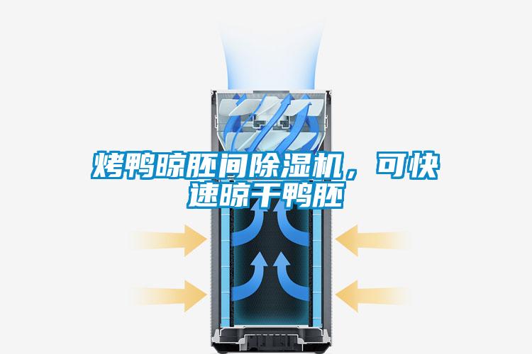 烤鴨晾胚間除濕機,可快速晾干鴨胚