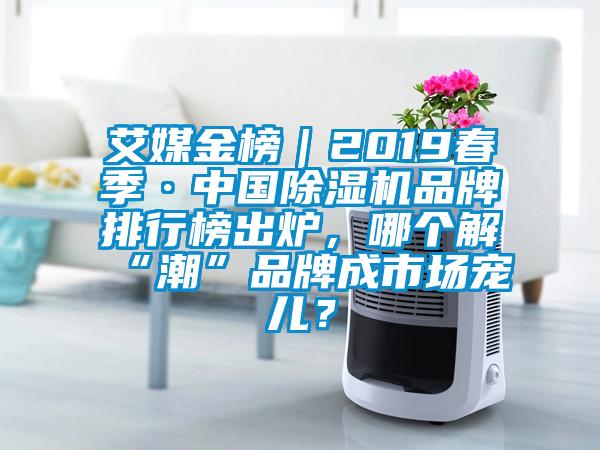 艾媒金榜|2019春季·中國除濕機品牌排行榜出爐,哪個解“潮”品牌成市場寵兒?
