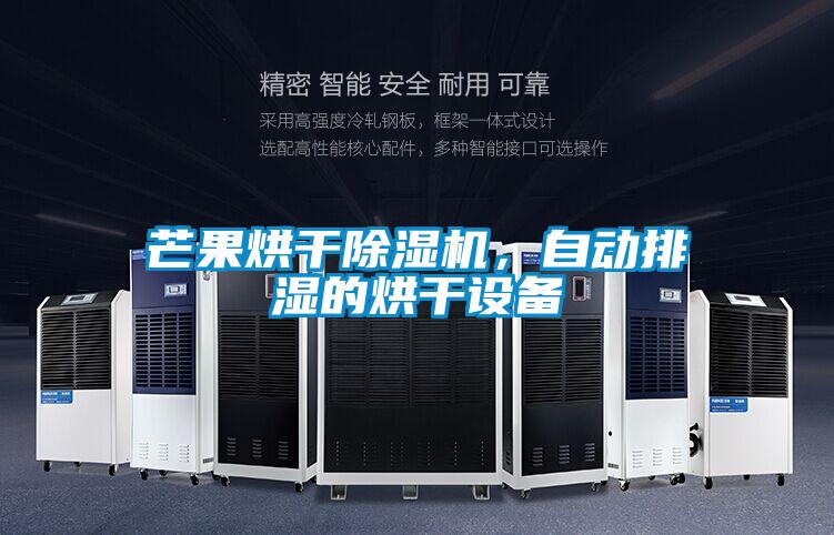 芒果烘干除濕機,自動排濕的烘干設備