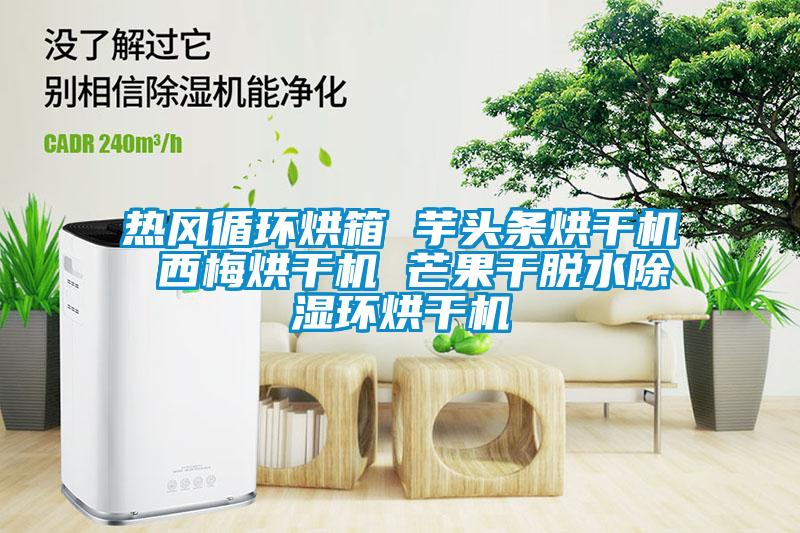 熱風循環烘箱 芋頭條烘干機 西梅烘干機 芒果干脫水除濕環烘干機