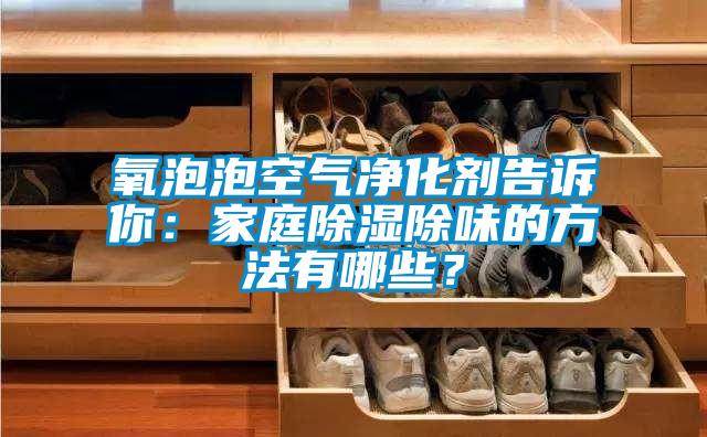 氧泡泡空氣凈化劑告訴你：家庭除濕除味的方法有哪些？