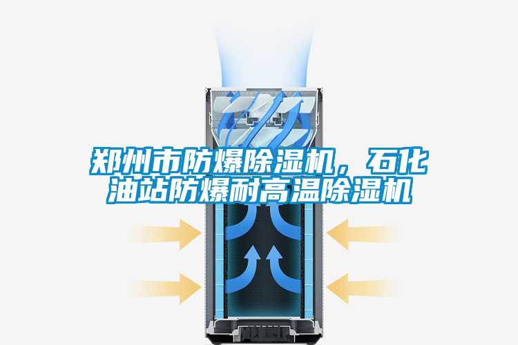 鄭州市防爆除濕機,石化油站防爆耐高溫除濕機